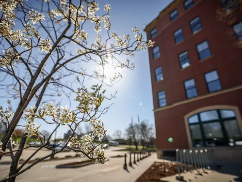 Oran Pape Building with Tree