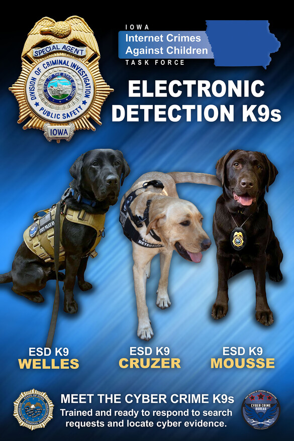 Electronic Detection K9's
