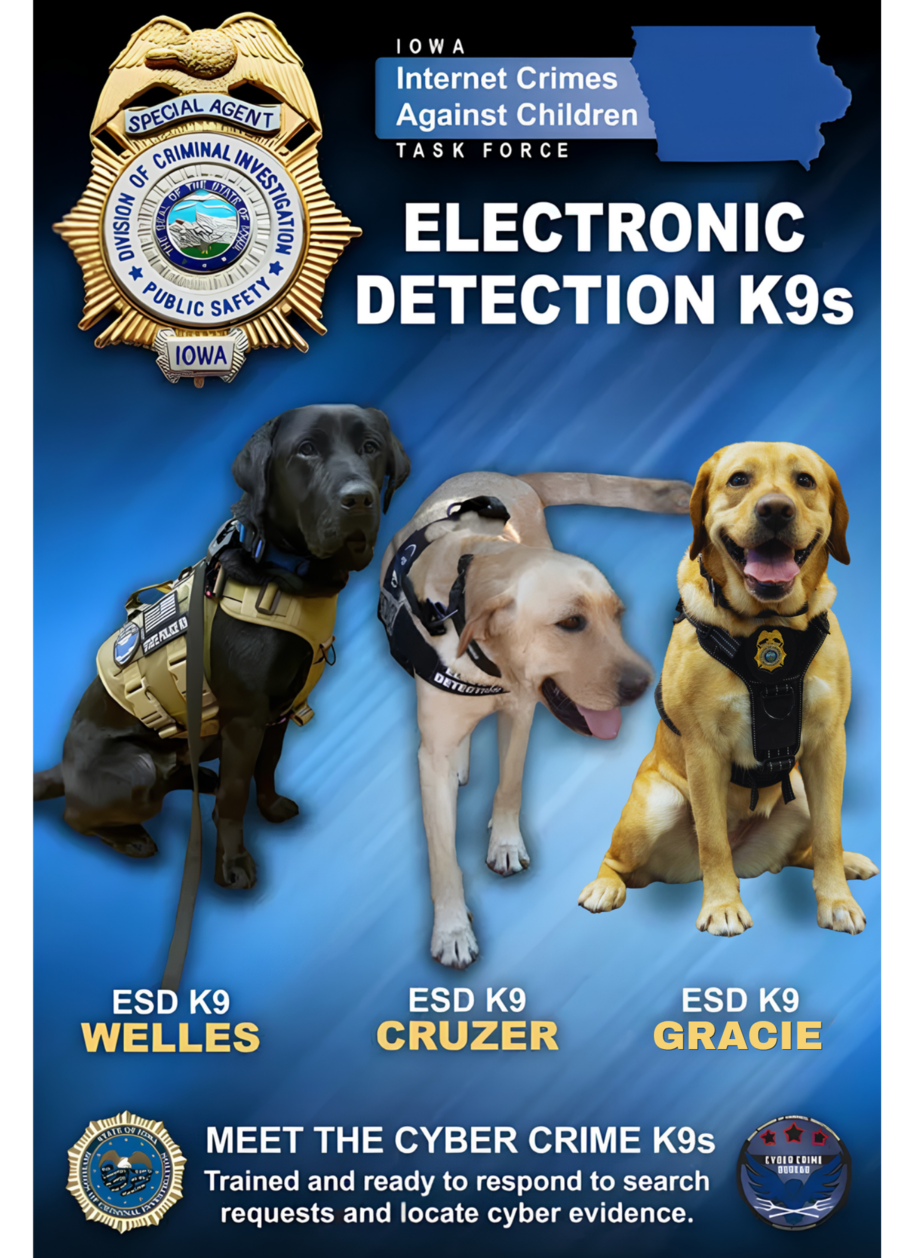 Electronic Storage Detecting K9s